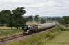 35028a.jpg