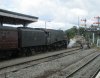 IMG_1557.JPG