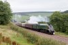 60009-01g.jpg