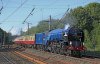 Blue T lr.jpg