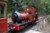 DSC07349.JPG