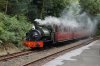 DSC07351.JPG