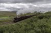Dalesman Galatea 1b.jpg