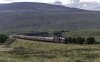 Dalesman Galatea 3b.jpg