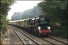 35028.jpg