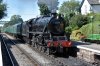 45379-4 Medstead 06092018.jpg