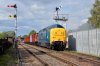 55019 Quorn-4 07092018.jpg