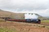 1077b 46233 Ais Gill 18-10-14.jpg