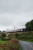 IMGP6507_1as.jpg