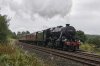 DSC_13817.jpg