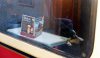 cr DSCF5265.JPG