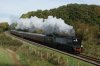 11 DSC04649.jpg