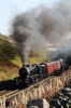 48151_Shap-summit_101018.jpg
