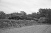 L1001318.jpg