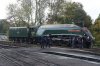 DSC01788.JPG