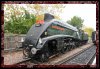60009-EG-18.jpg