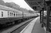 IMG_2688 B&W.jpg