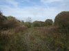 DSCF4315.JPG