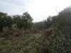DSCF4314.JPG