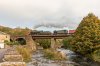 EOS 5D Mark IV_181020_4919-Edit.jpg