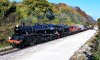 DSC_2016-crop.JPG