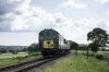 RN5845.jpg