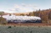 _DSC9428.jpg