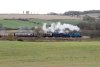 419-05b.jpg