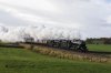 DSC_14280.jpg
