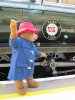 Paddington 160218A - CM - Smaller.jpg