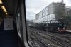 35028 Victoria 9.11.2018.jpg
