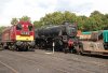 IMG_1133LR.jpg