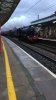 C6EA914F-D26B-4962-BCFE-7F28B6372D69.jpeg
