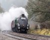 train_01.jpg