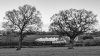DSC_2865 70000 Beeston Castle bw 291118.JPG