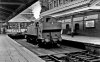 4725F077-DD47-4259-8B6D-52A1FC0913E8.jpeg