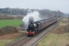 DSC04921.jpg
