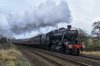 DSC_14639.jpg