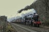 DSC_14648.jpg