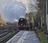 DSC05465.jpg