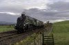 60009 1b.jpg