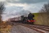 A3893_4.jpg