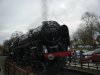 DSCF8184.JPG