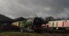 Tornado_NVR_20190113.jpg