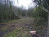 DSCF8199.JPG