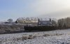 253A5929.tifcroop.jpg