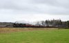 _DSC0139-Edit.jpg