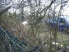 DSCF8217.JPG