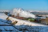 61306+35108.jpg