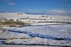 _DSC1540.JPG